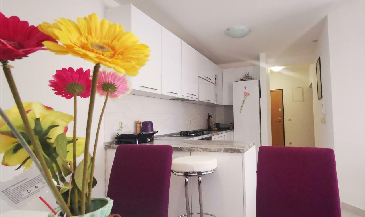 Apartment Dalmatia Makarska Dış mekan fotoğraf
